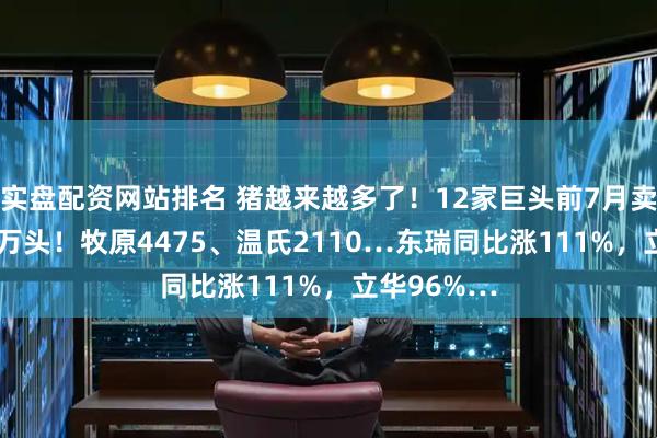 实盘配资网站排名 猪越来越多了！12家巨头前7月卖猪超8800万头！牧原4475、温氏2110…东瑞同比涨111%，立华96%…